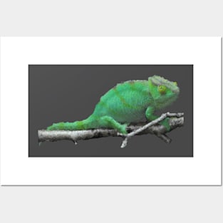 Low Poly Chameleon Posters and Art